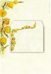briefpapierset A4
kringlooppapier
'lampionplant'
6 vel, 6 enveloppen